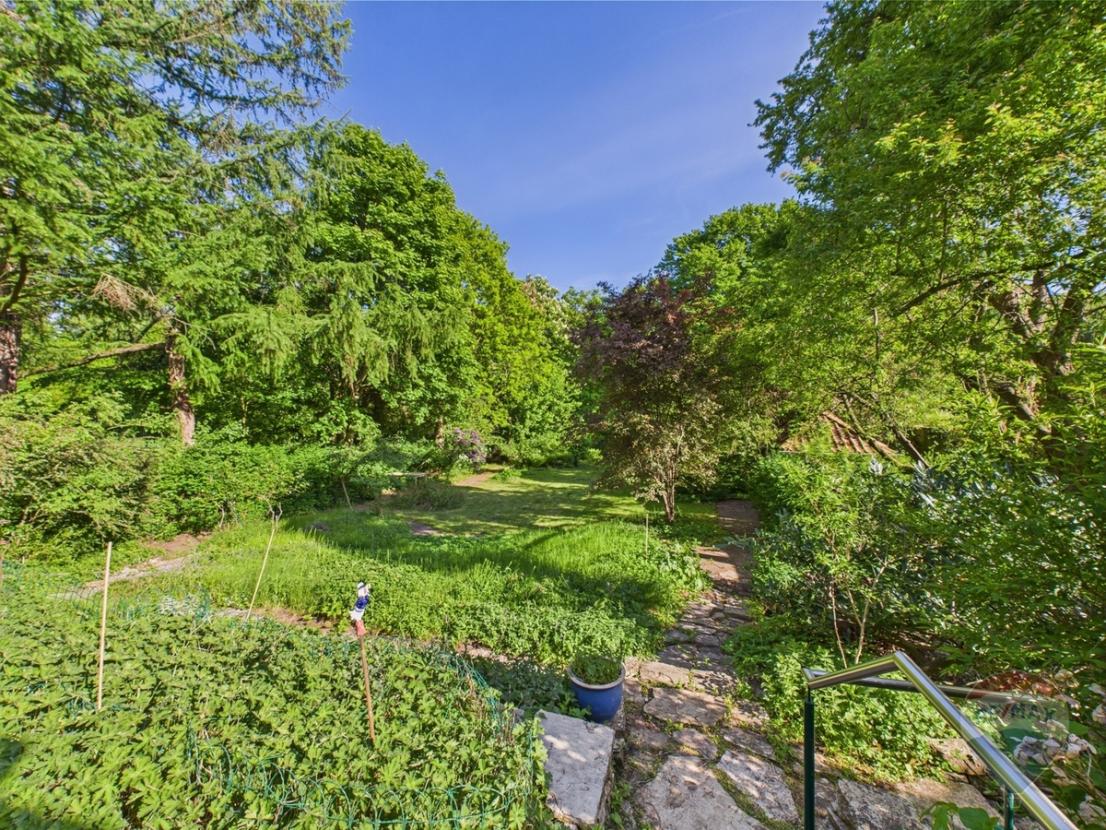 Ausblick von der Terrasse auf den Garten