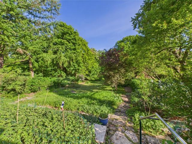 Ausblick von der Terrasse auf den Garten
