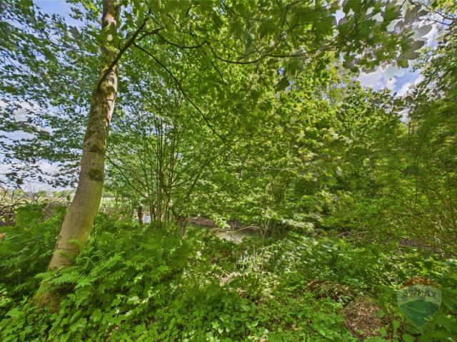 Fluss fließt am Grundstück vorbei