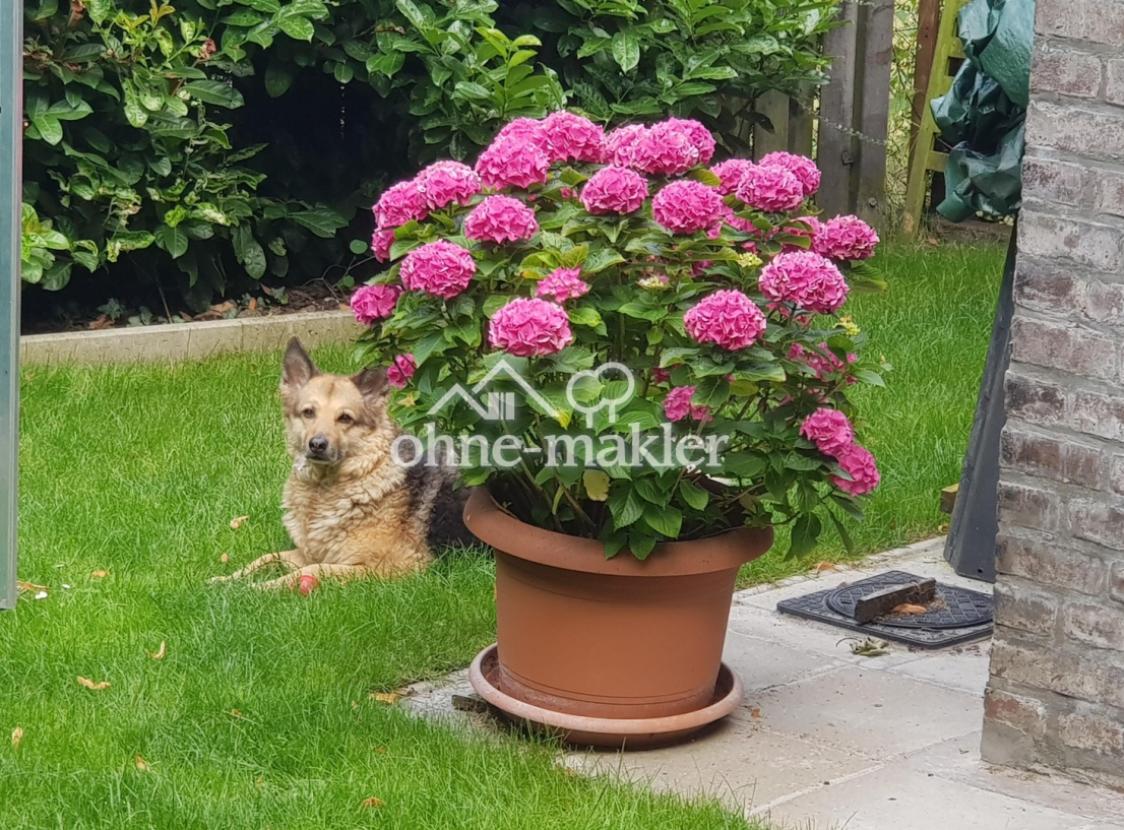 Hund fühlt sich auch wohl!