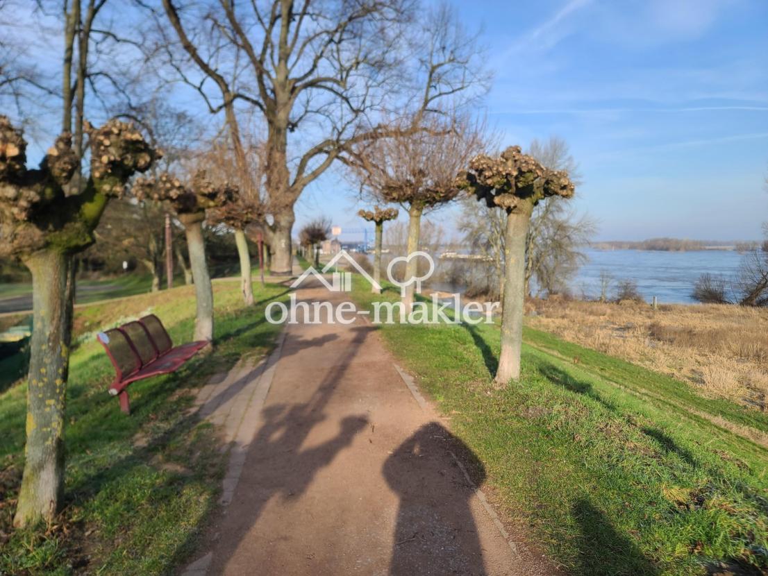 Rheindeich im Winter 1