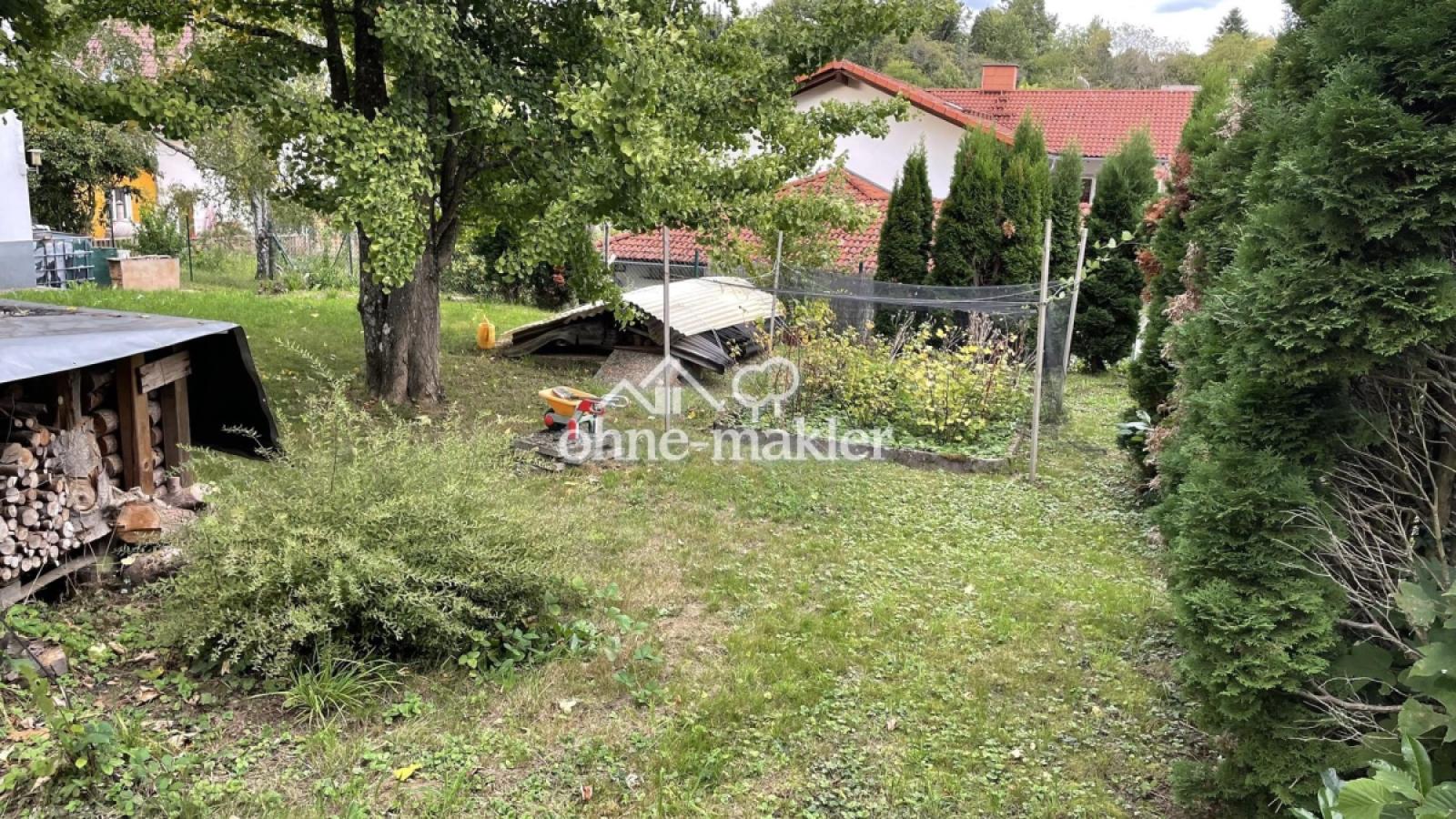 Beerensträucher, Holzlager, Gi