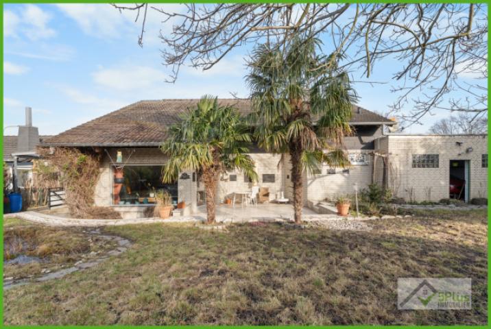 5Plus Immo Haus zum Kauf Inden / Altdorf Garten