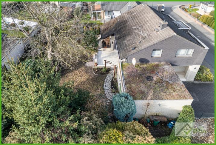 5Plus Immo Haus zum Kauf Inden / Altdorf Garten Drohnenaufnahme