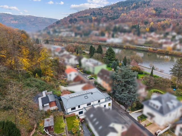 Über der Dächern von Heidelberg