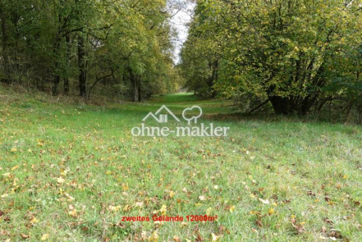 2tes Grundstück
