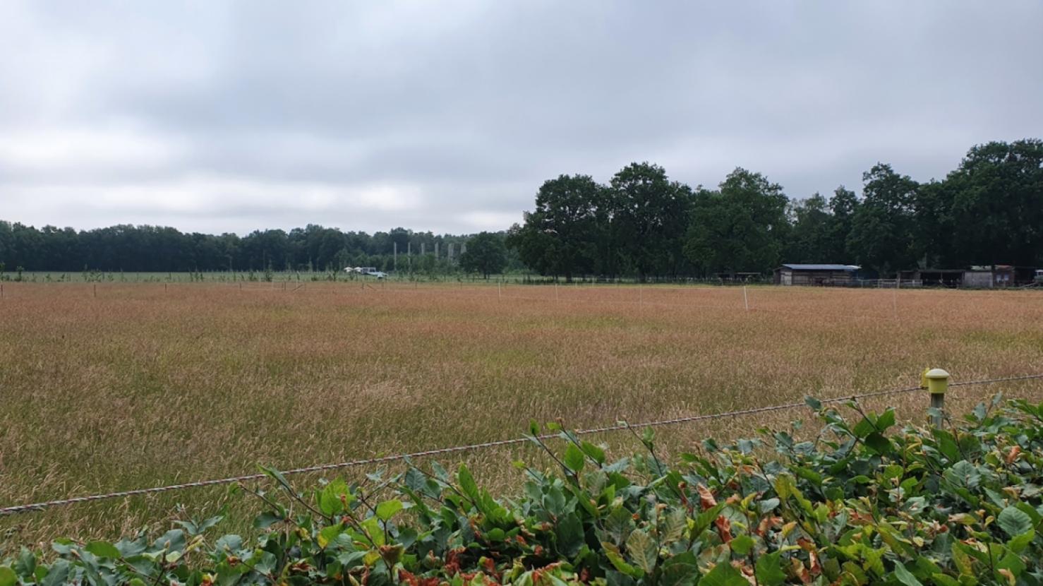 Ausblick Richtung Stadtpark