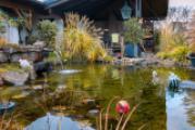 Toll angelegter Teich