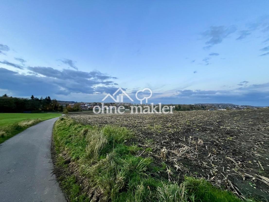 Naherholung im Hasselholz