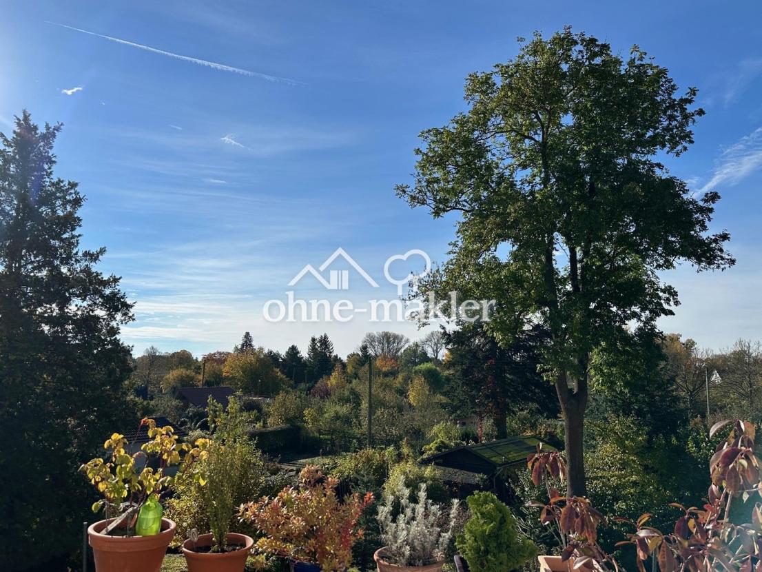 OG BalkonBlick ins Grüne