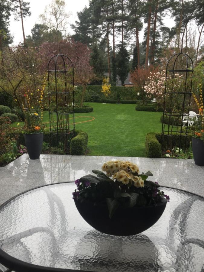 Blick von der Terrasse