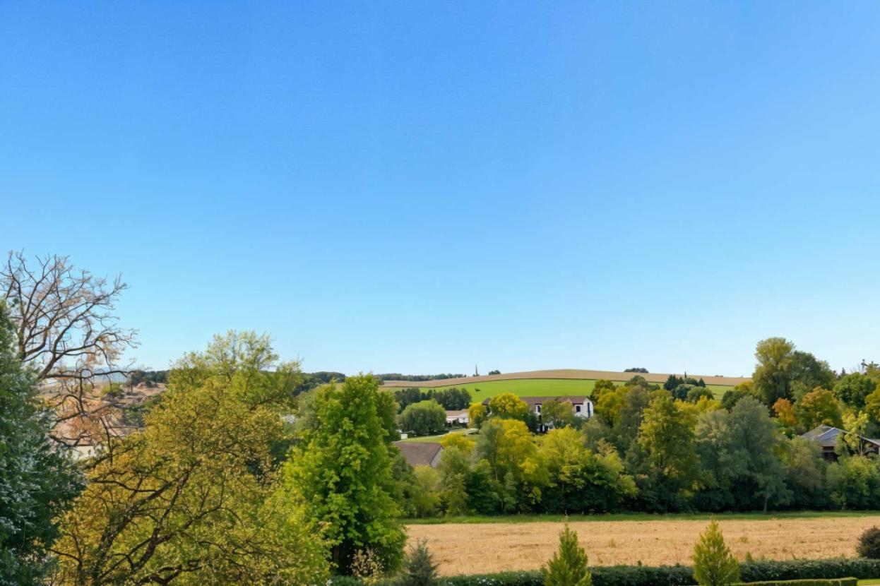 Ausblick Rückseite Liege