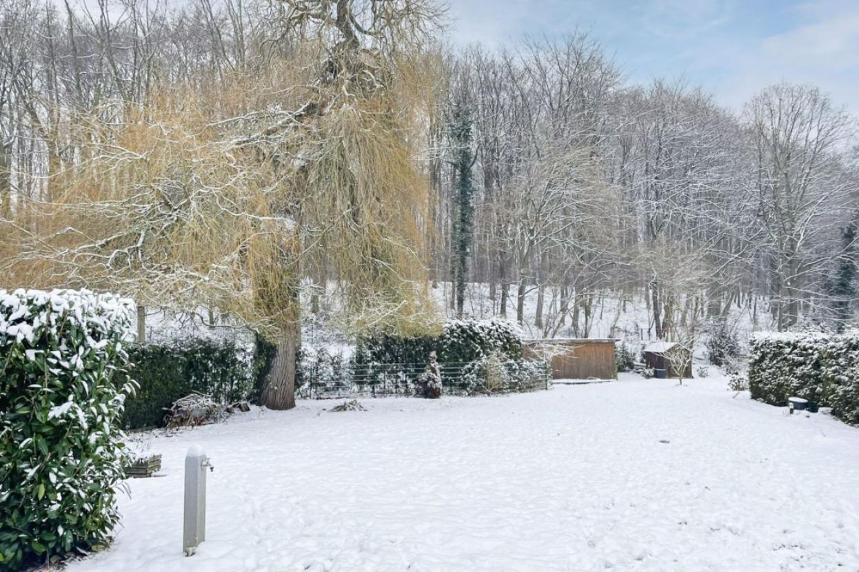 Garten_mit_Trauerweide