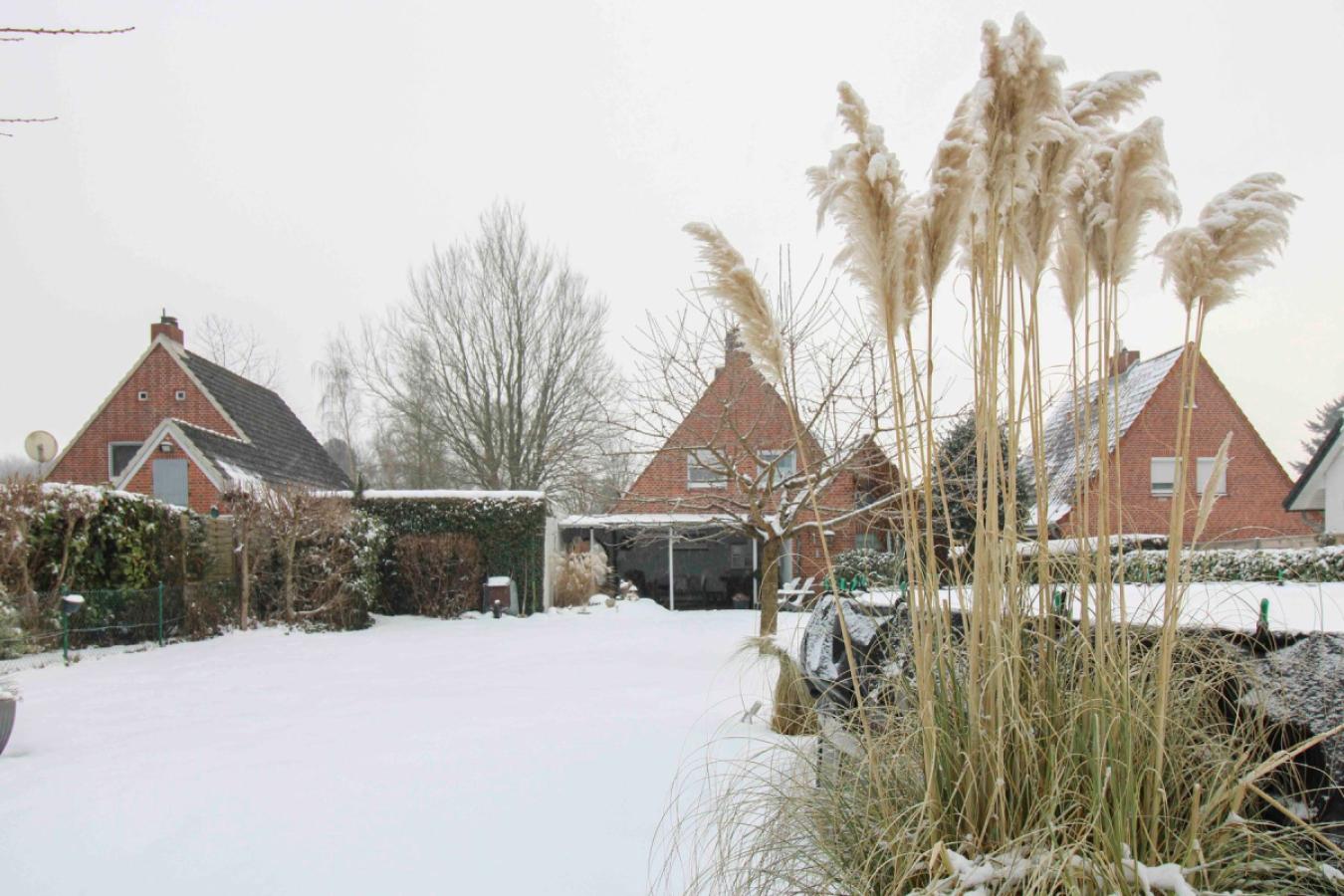 Winteransicht