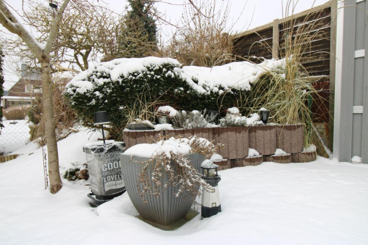 Winteroase zweite Terrasse