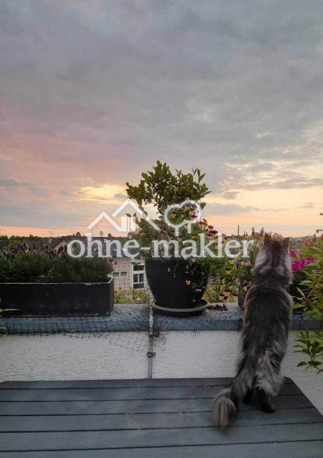 Wo genau war der Kölner Dom?