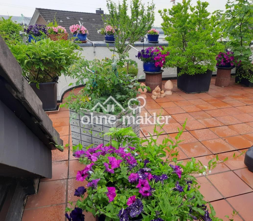 Terrasse -mittig-  blüht