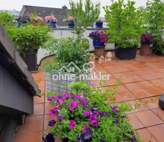 Terrasse -mittig-  blüht