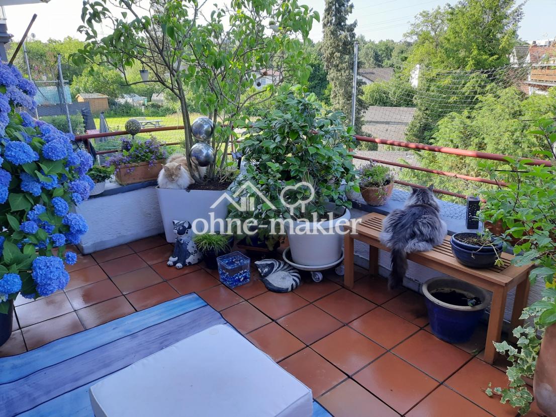 Untere Terrasse SZ Bereich 2