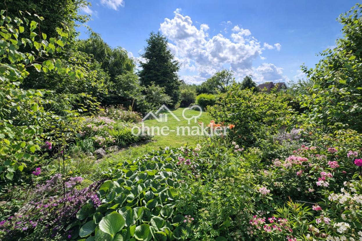 Blick in den Sommergarten