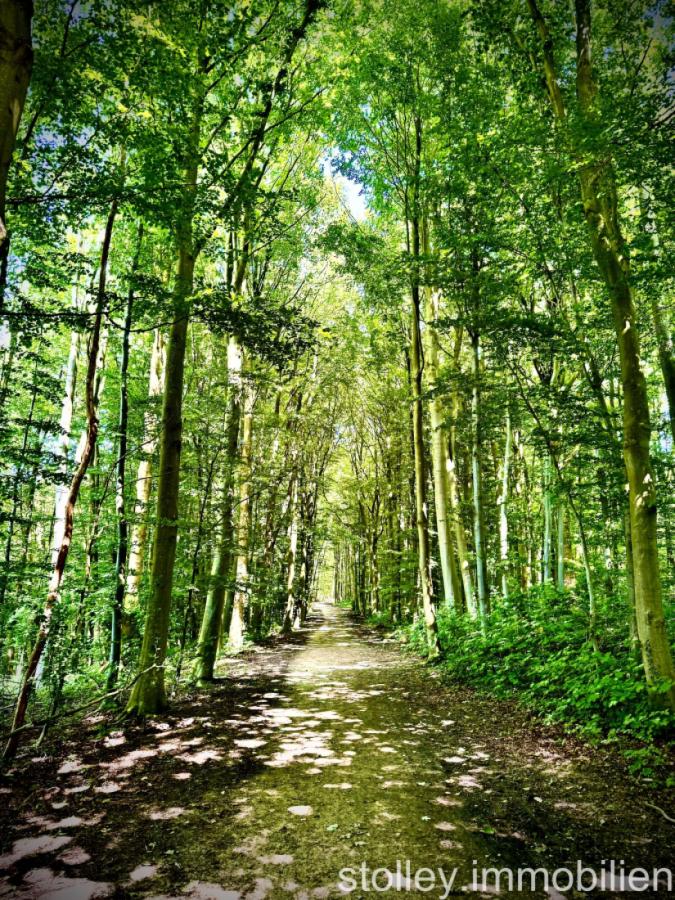 der Wald vor der Tür