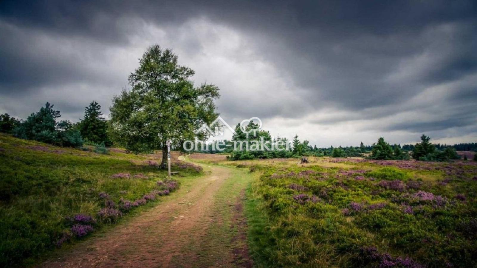 Die Hochheide/Niedersfeld