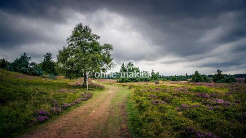 Die Hochheide/Niedersfeld