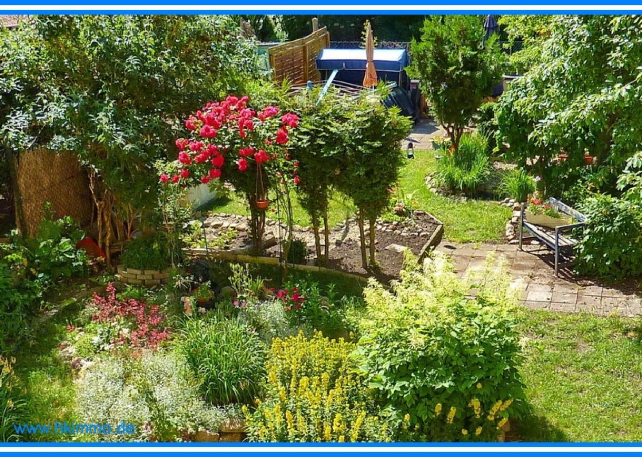 Garten hinter dem Haus