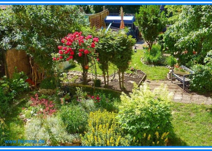 Garten hinter dem Haus