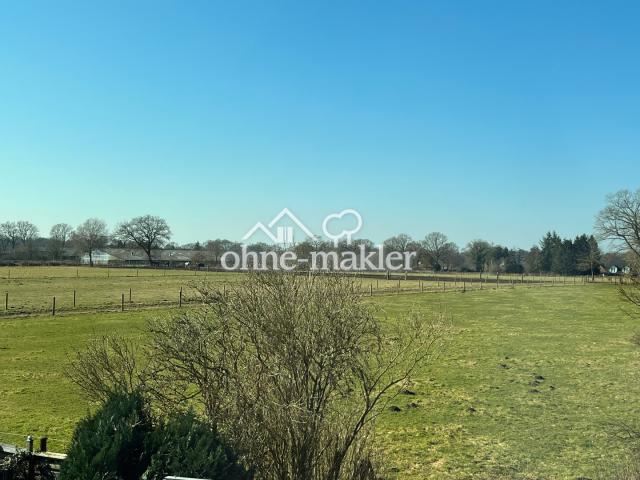 Blick auf die Pferdeweide