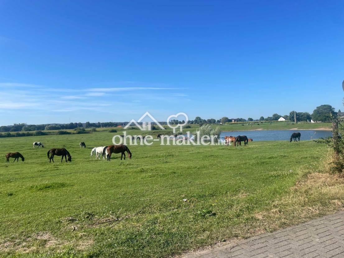 Hier kann das Pferd stehen.