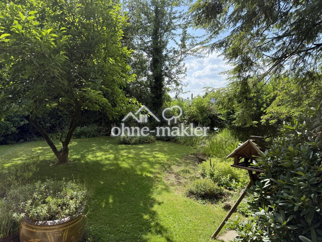 Garten in Richtung Westen