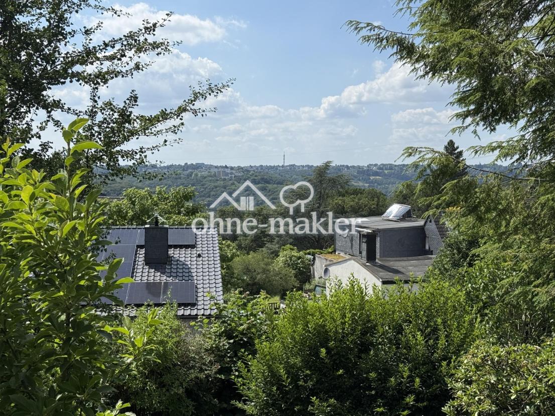 Blick v. Balkon OG nach Westen