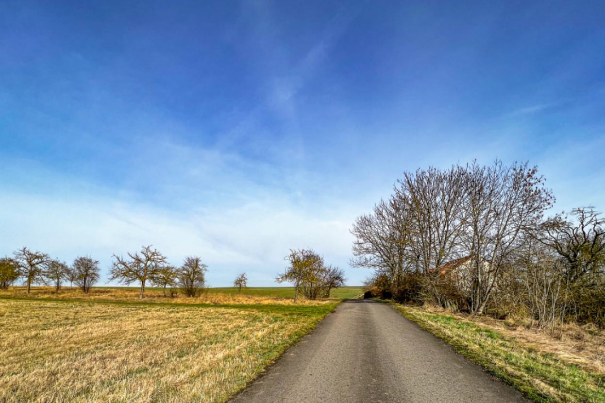 Grundstücke 1 und 11