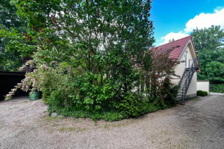 Terrasse versteckt im Grünen