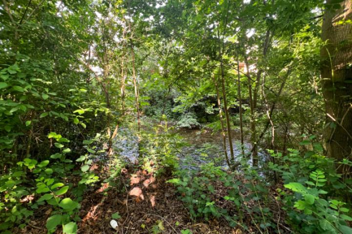 Idyllischer Fußweg an der Gera