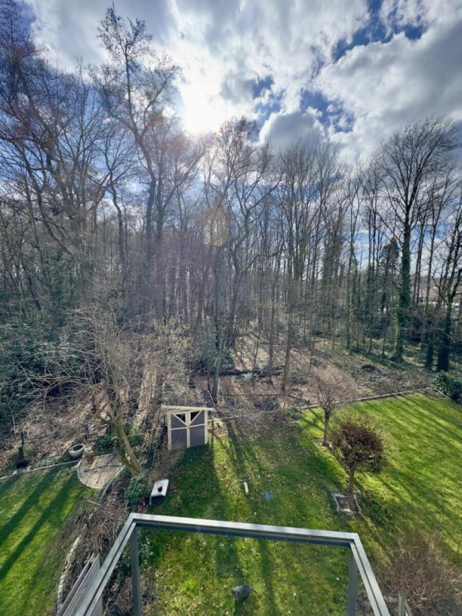 Ausblick in den Wald