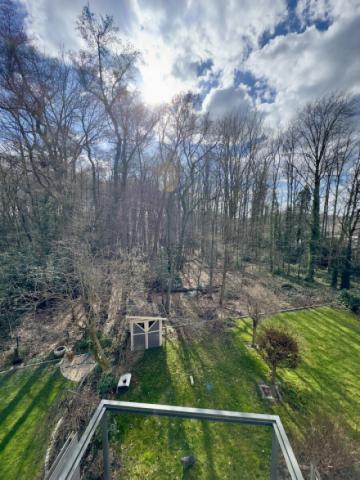 Ausblick in den Wald