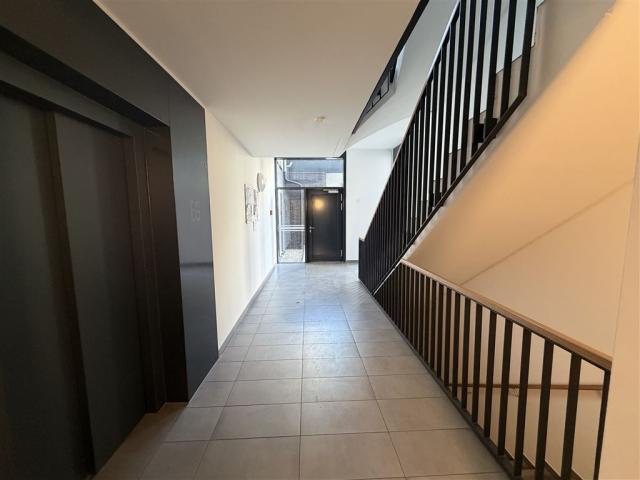 gepflegtes Treppenhaus mit Aufzug