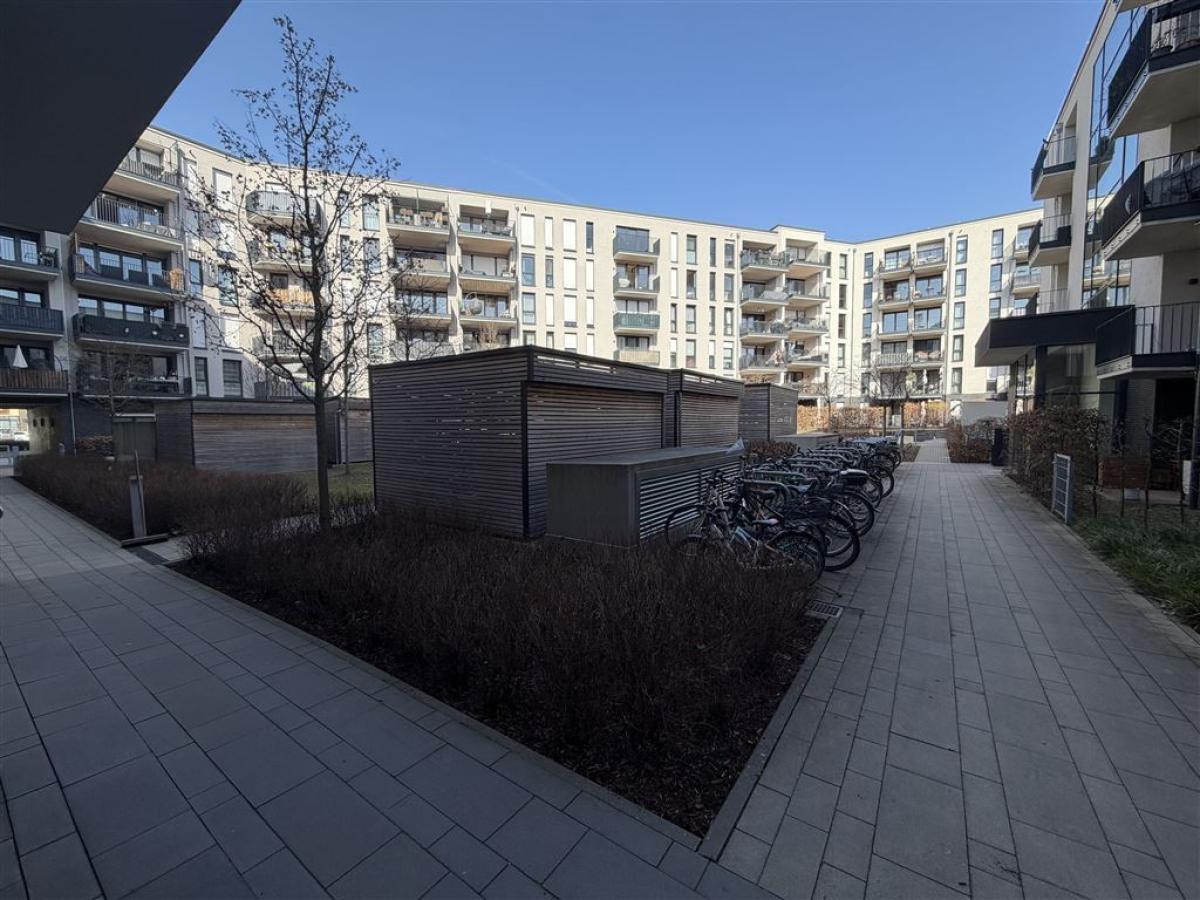 gepflegter Innenhof - Fahrrad und Müllstellplätze