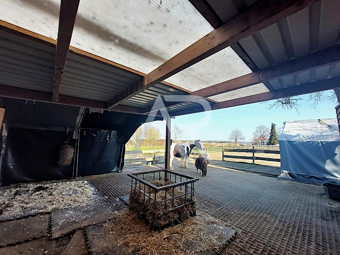 Offenstall - Zugang Reitplatz