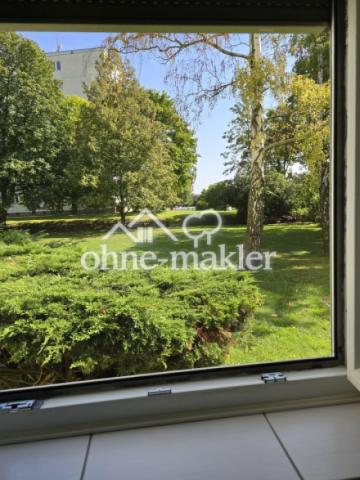 Blick aus der Küche