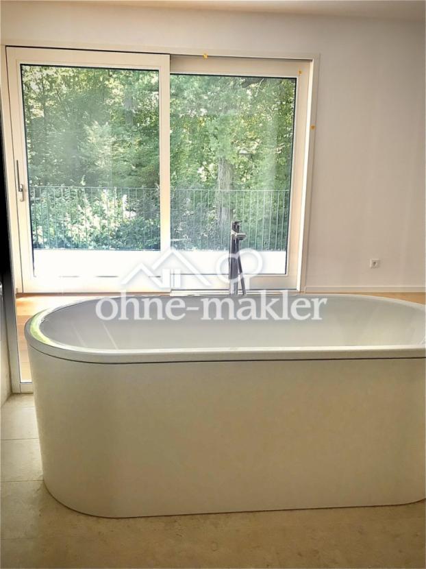 Ausblick in den Wald