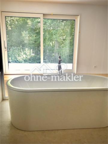 Ausblick in den Wald