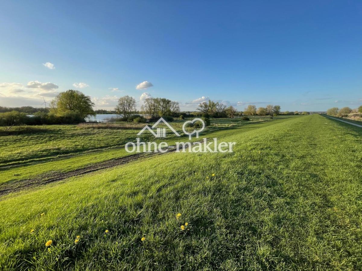 Elbdeich in der Sonne