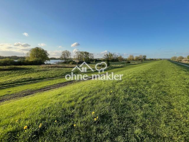 Elbdeich in der Sonne