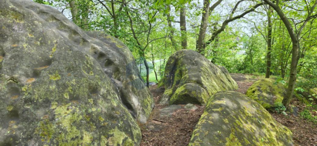 Umgebung (7)