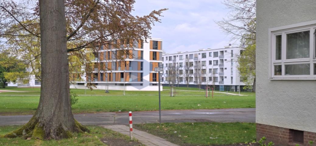 Umgebung (4)