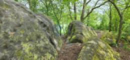 Umgebung (7)
