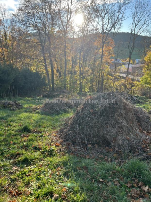Baugrundstück mit Weitblick - Naturnahe Parzelle mit Entwicklungspotenzial